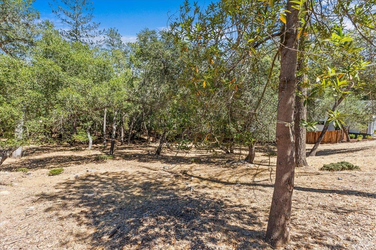 Property Photo: 796 Los Olivos Road CA 95404