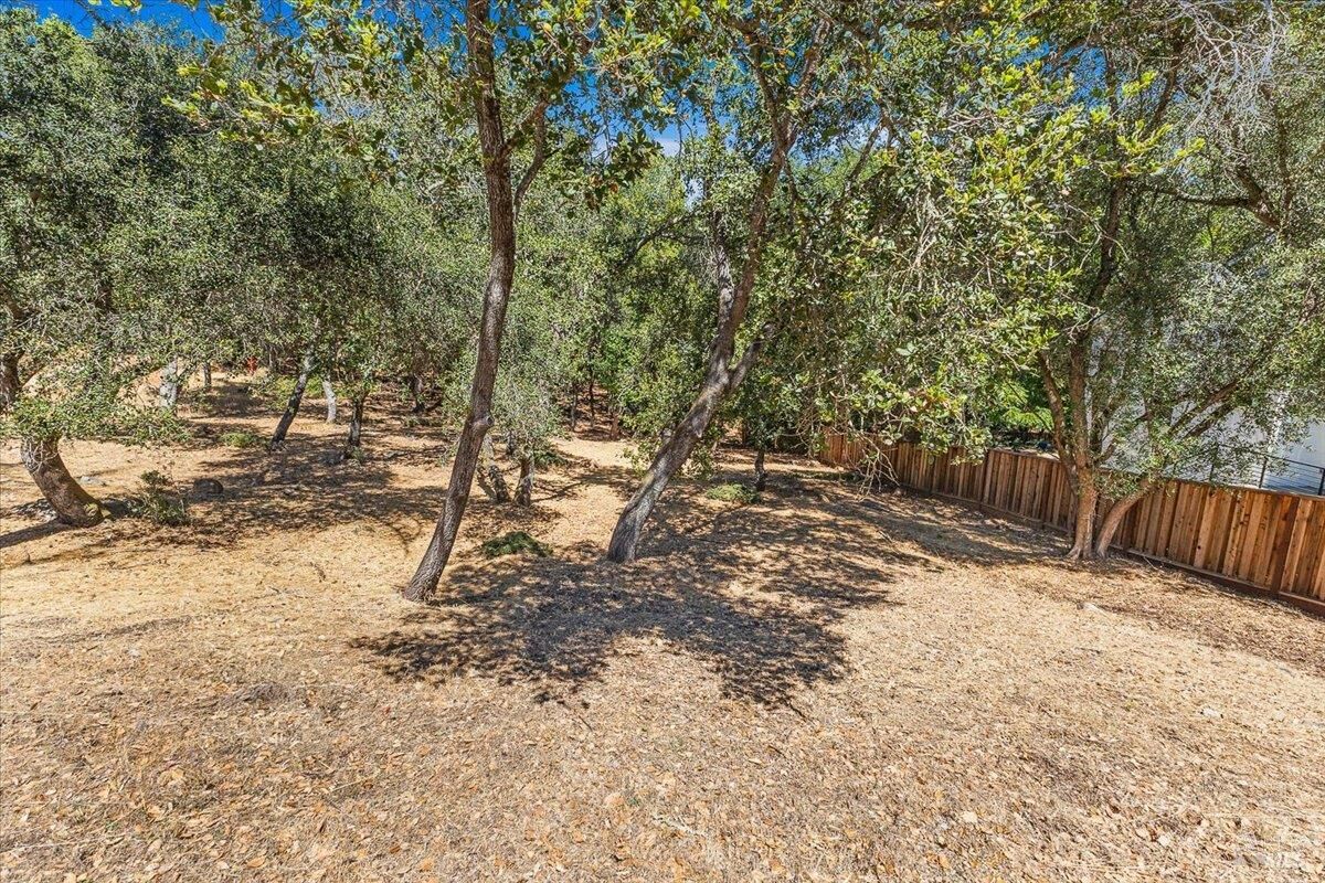 Property Photo:  796 Los Olivos Road  CA 95404 