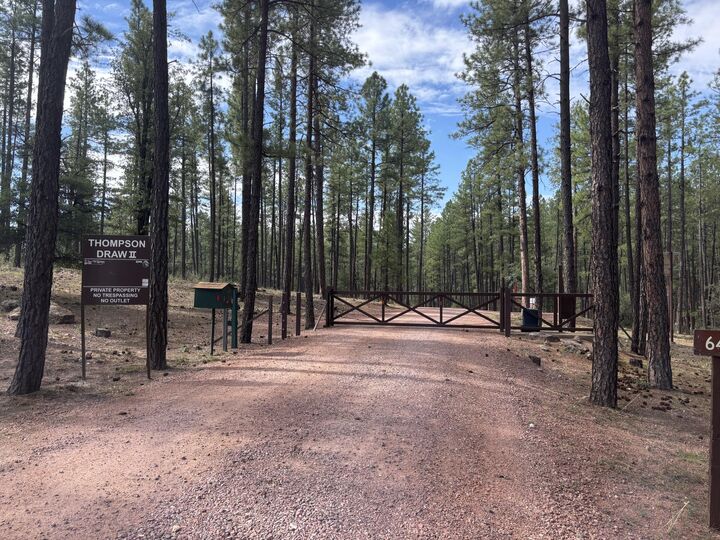 Property Photo:  183 W Raven Road  AZ 85541 