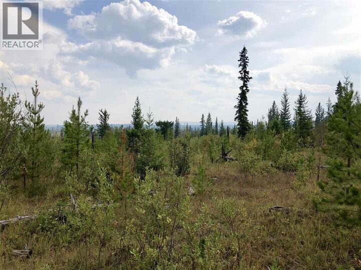 Property Photo:  Dl 664 Tyee Lake Road  BC V2G 4Y9 