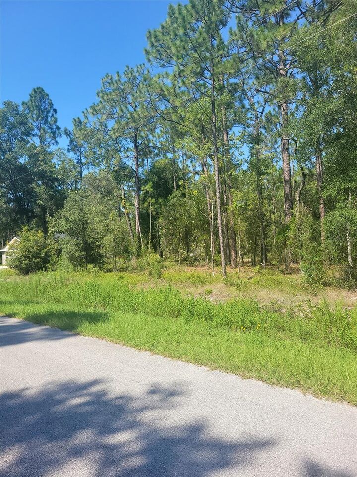 Property Photo: 0 NW Redwood Road FL 34431
