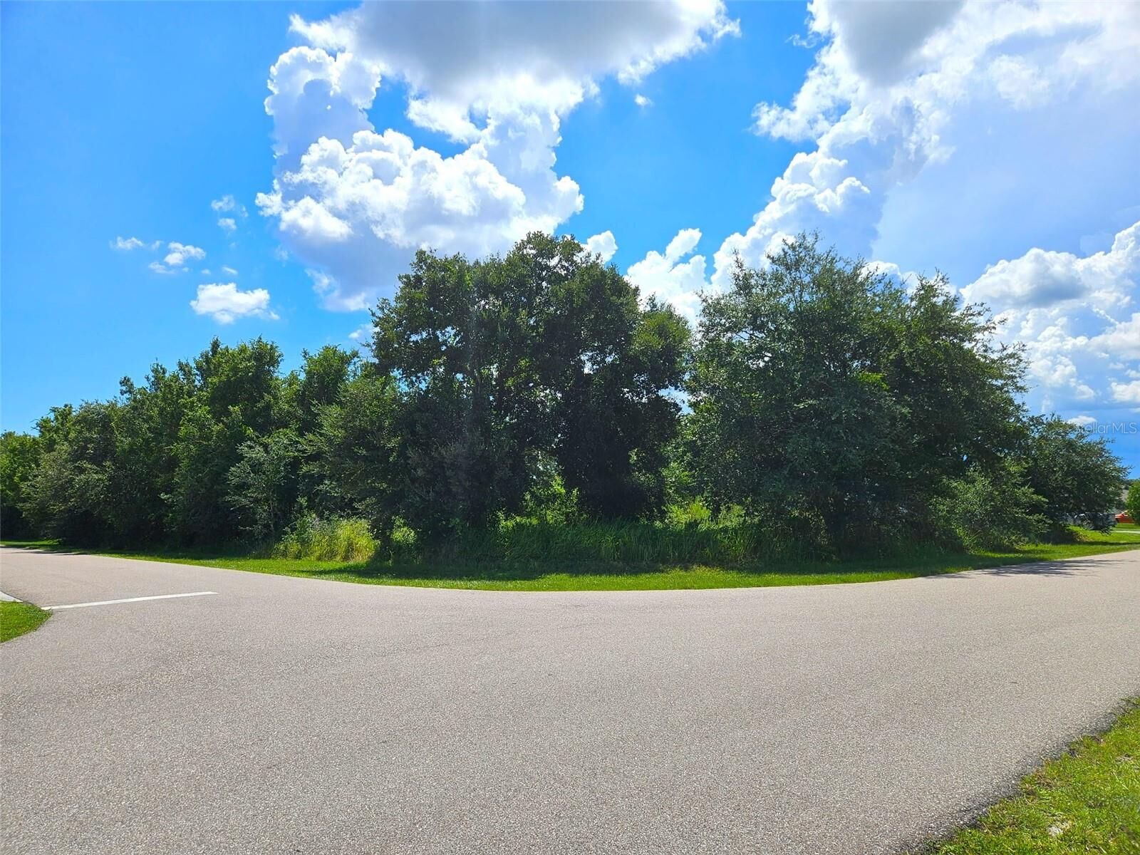 Property Photo: 1394 Saxony Circle FL 33983