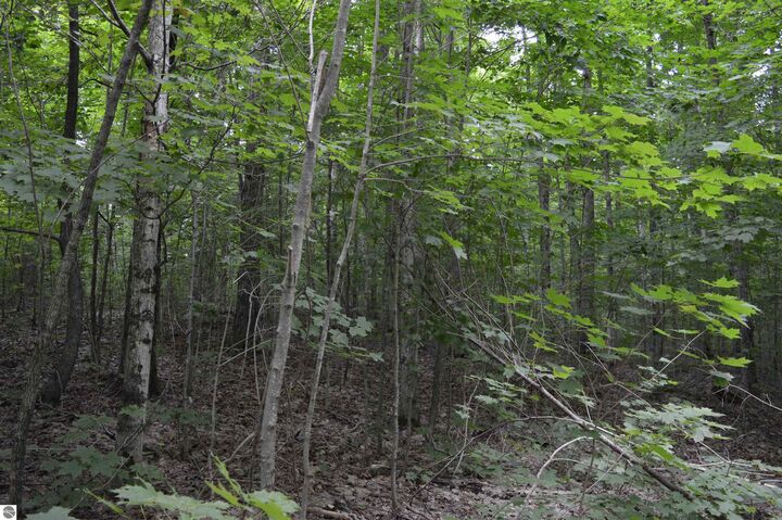 Property Photo: NE Dapokie Trail MI 49646