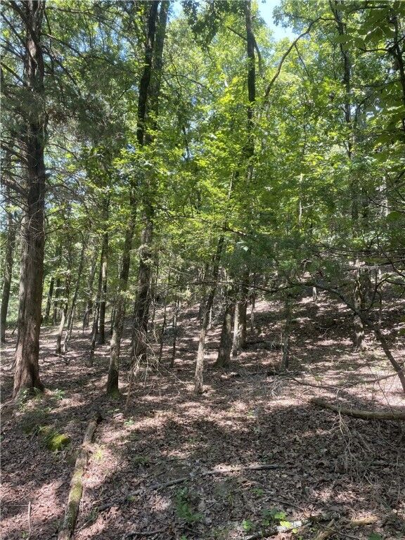 Property Photo:  312. Cr 3222  AR 72830 
