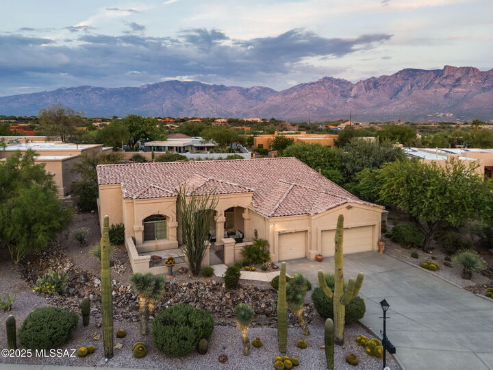 12068 N Tall Grass Drive  Oro Valley AZ 85755 photo