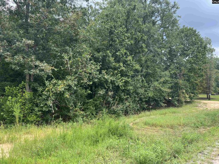 Property Photo: 0 Cliff SC 29123