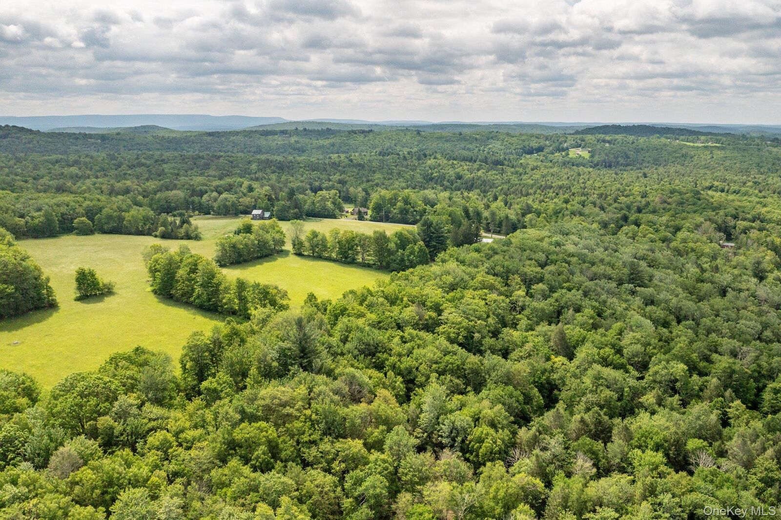 Property Photo: 115 Moore Rd NY