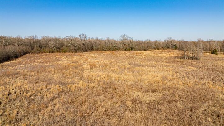 Property Photo:  Tbd Cr 4650  TX 75559 