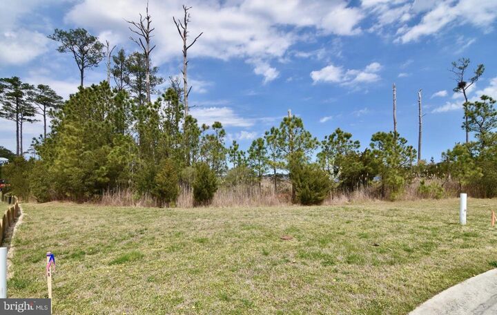 Property Photo:  Lot #271 War Dancer Lane  MD 21811 