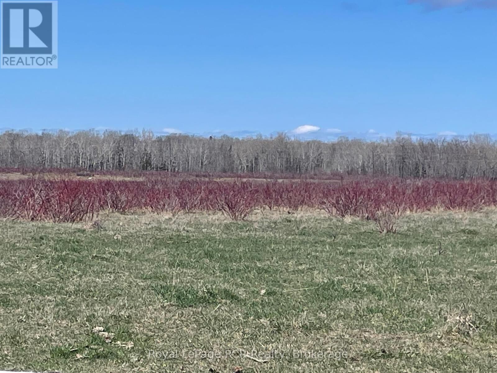 Photo de la propriété:  250 Scotch Line Road  ON P0P 1W0 