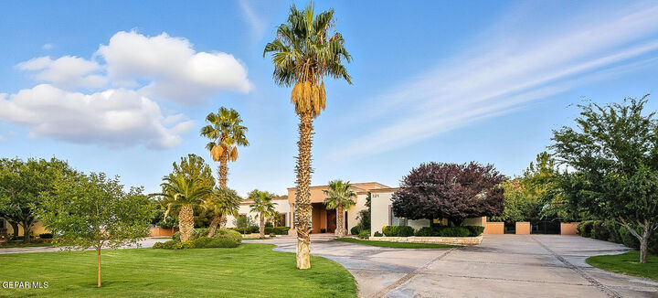 324 Wild Willow Drive  El Paso TX 79922 photo