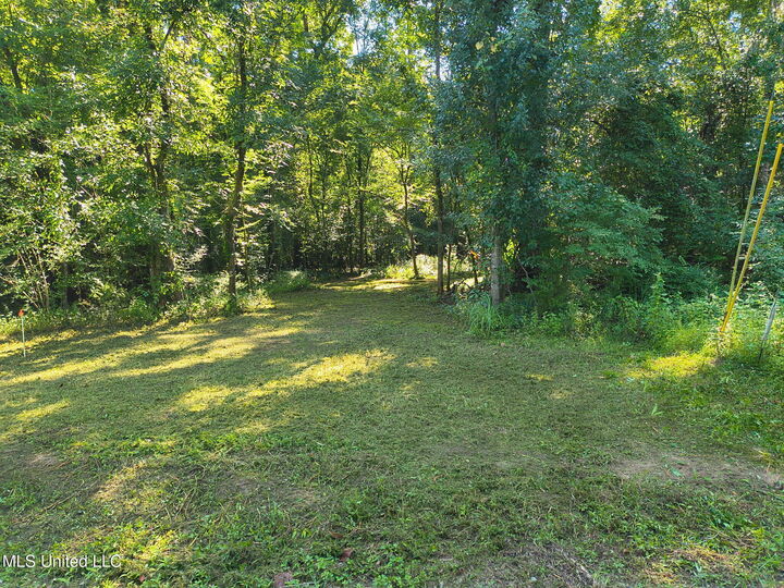 Property Photo: 0 Carter Lake Drive MS 39452