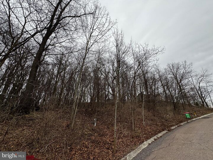 Property Photo:  119 Braddock Heights  MD 21532 