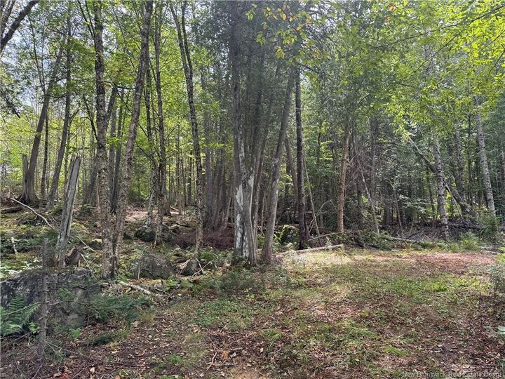Property Photo: 194 Upper Waweig Road NB E3L 4N1