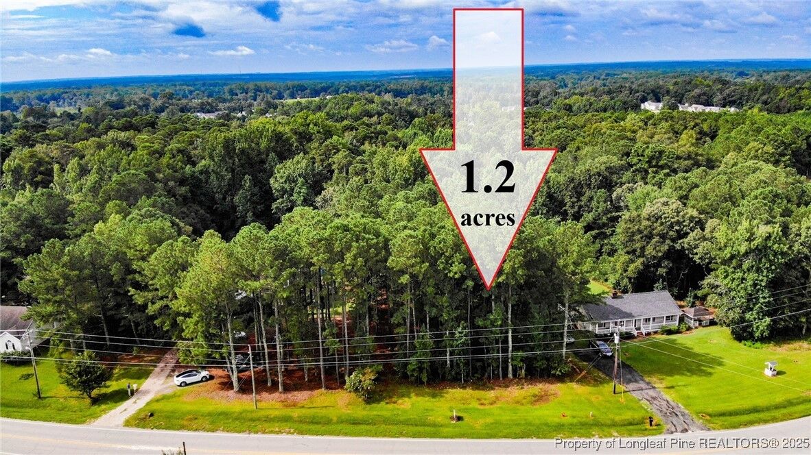 Property Photo: Tbd Nc 42 NC 27540