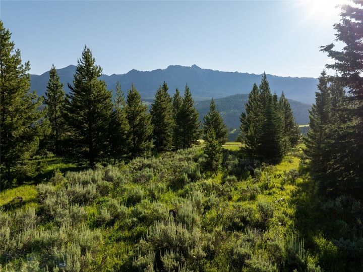 Property Photo: Tbd White Wolf Trail Lot 4 MT 59716