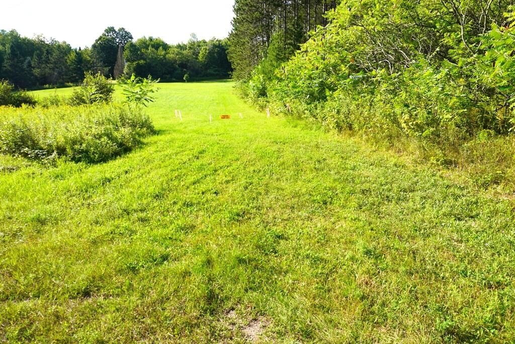 Property Photo:  17.47 Ac Schulz Spur Dr  WI 54452 