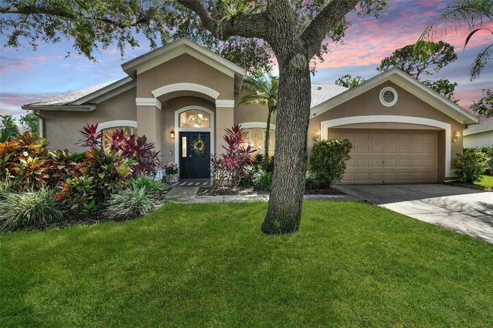 10515 Chambers Drive  Tampa FL 33626 photo