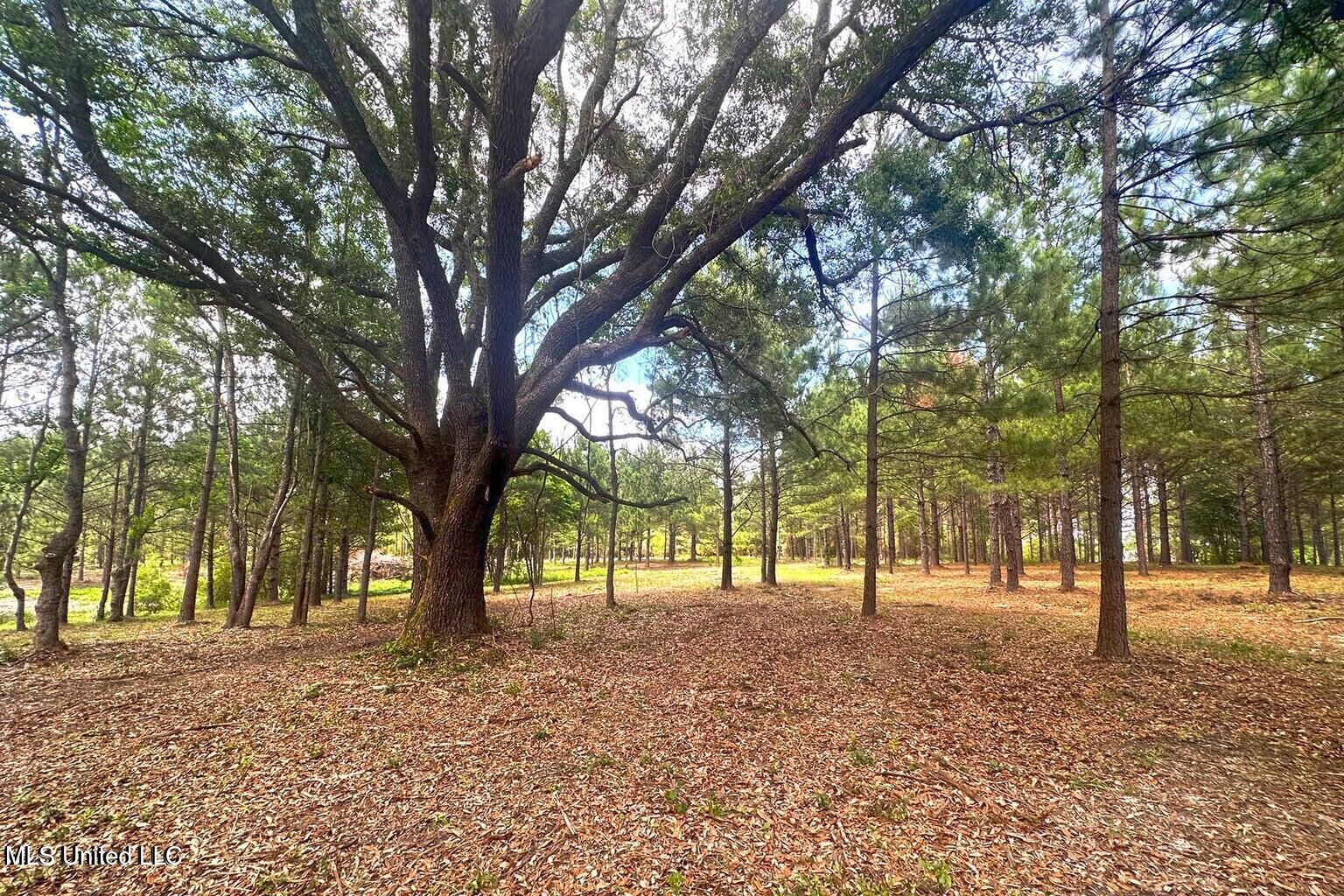 Property Photo: 23ac Hinton Road MS 39452