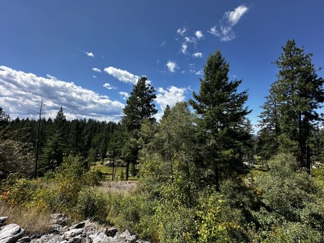 Property Photo: 56 Bridle Court MT 59911