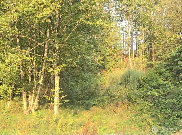 Property Photo:  141 NE Steelhead Drive  WA 98528 