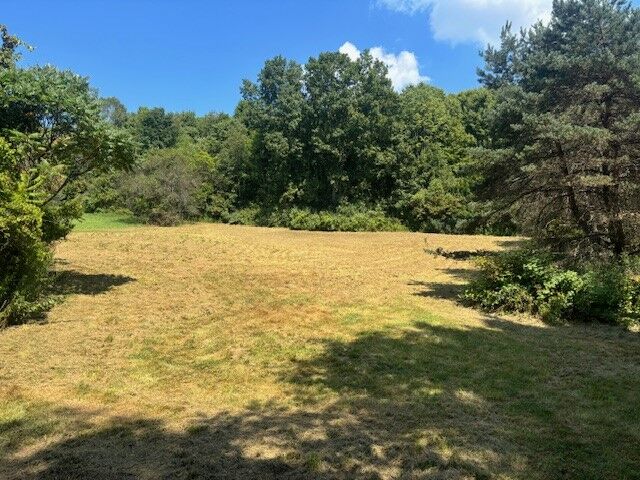 0 Honeypott Road  Candor NY 13743 photo