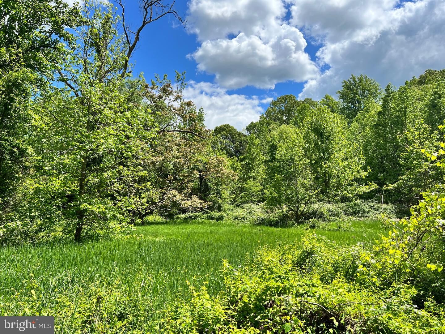 Property Photo: Old Colchester Rd VA 22079