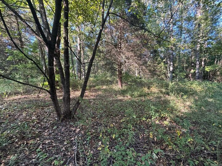 Property Photo: 183 J And J Lane AR 72007