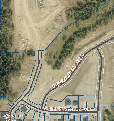Property Photo:  L2 B3 E Sleeping Deer Ave  ID 83835 
