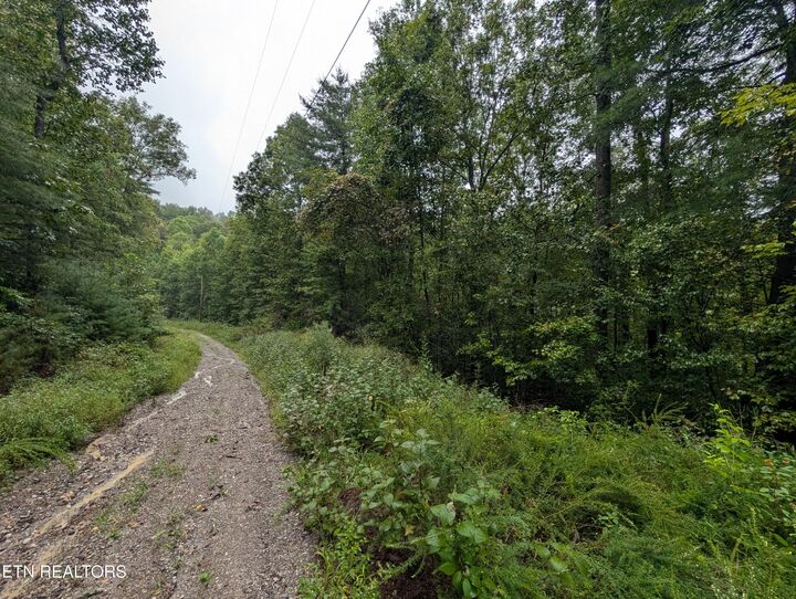Property Photo:  Catoosa Drive- Lot 27  TN 37770 