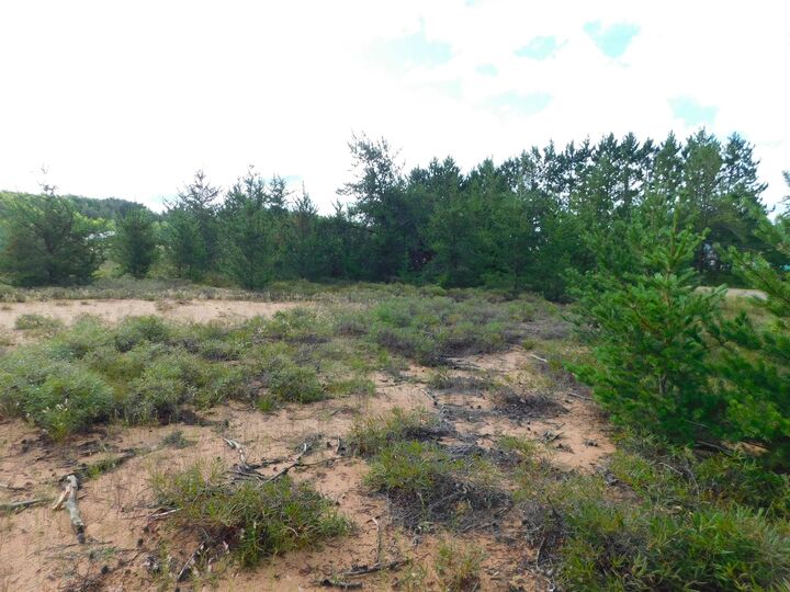 Property Photo: 144xx S Snowberry Ln WI 54838