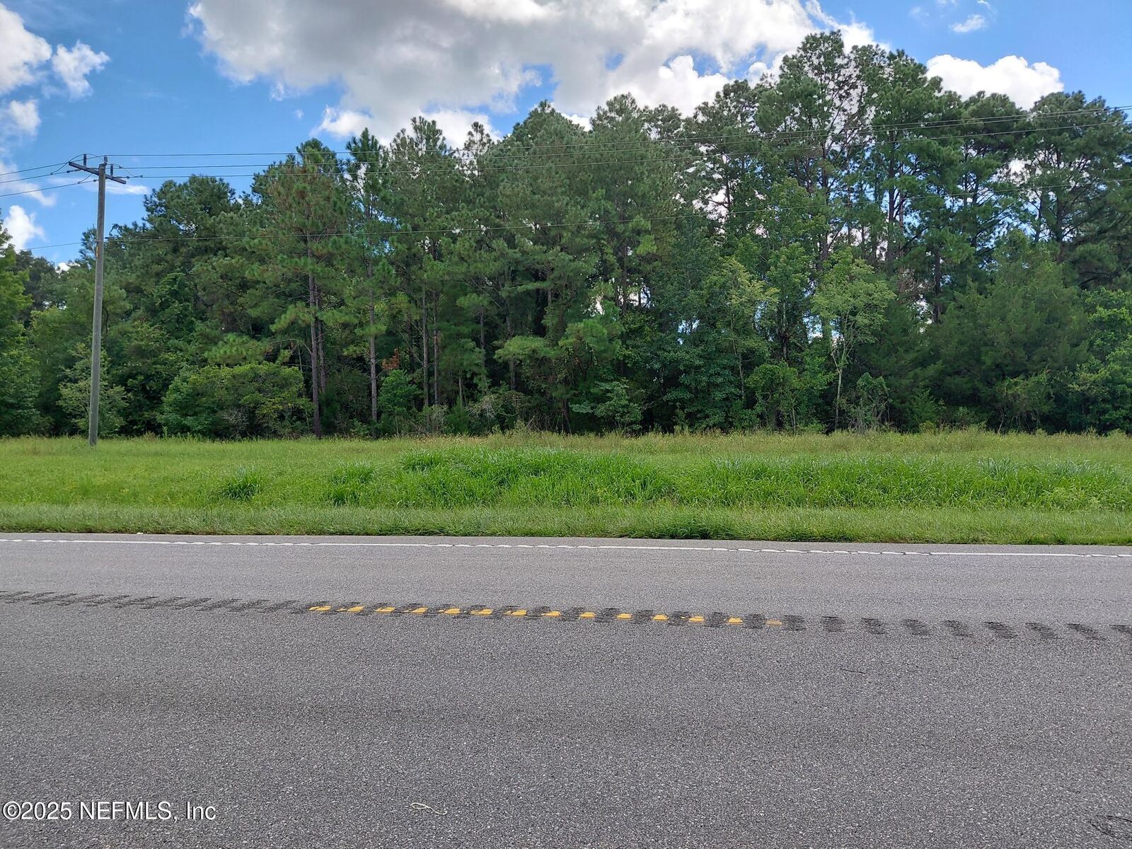 Property Photo:  0 S Highway 17  FL 32112 
