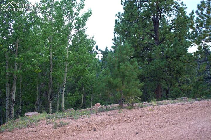 Property Photo:  490 Grosbeak Circle  CO 80814 