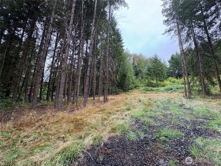 Property Photo: 0 Lot B-D SE Rose Street WA 98596