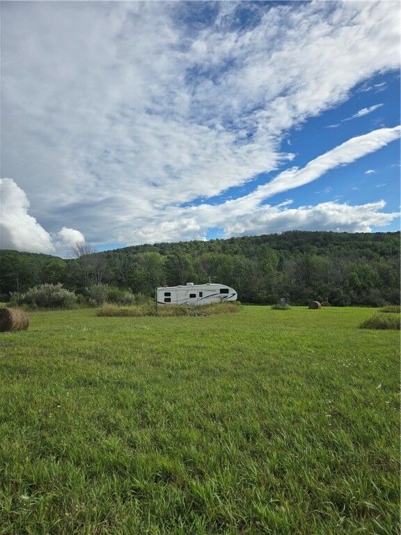 Property Photo:  Potter Road  NY 14855 