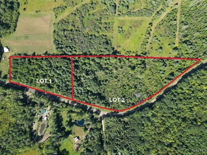 Property Photo:  Wessie Road  NY 14874 