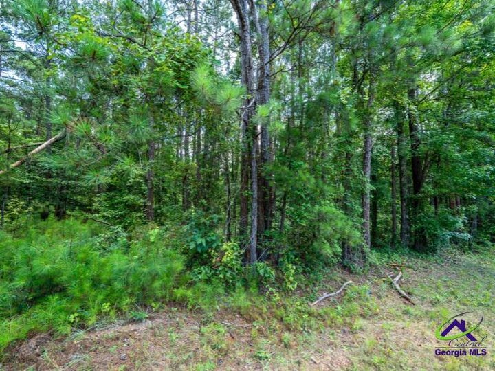 Property Photo:  0 Highway 42  GA 31030 