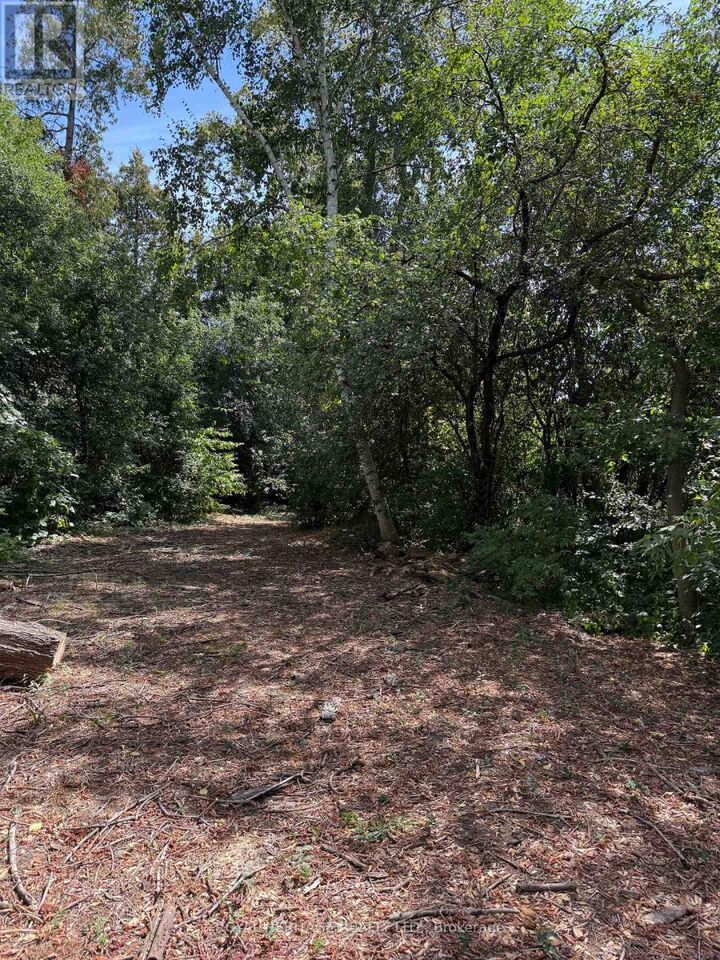 Photo de la propriété:  Pine Grove Avenue  ON L1V 1K7 