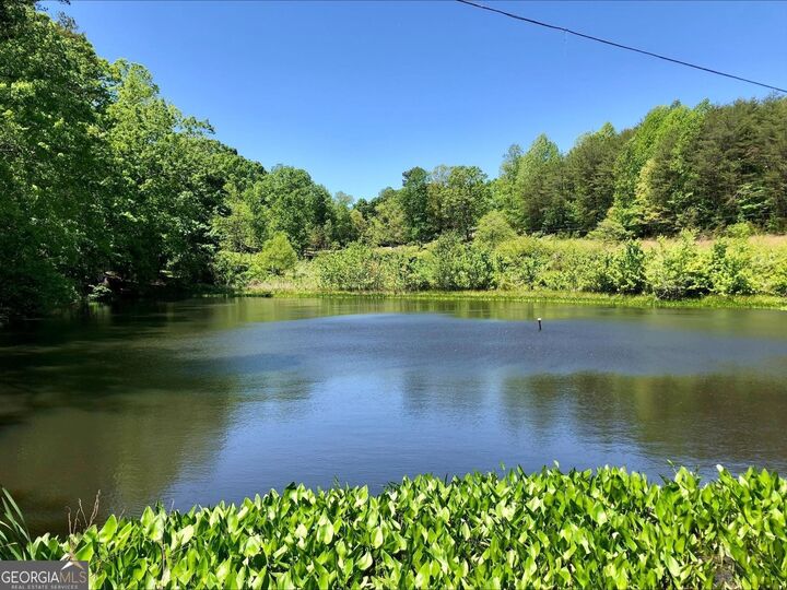Property Photo:  111 On Golden Pond Lane  GA 30523 