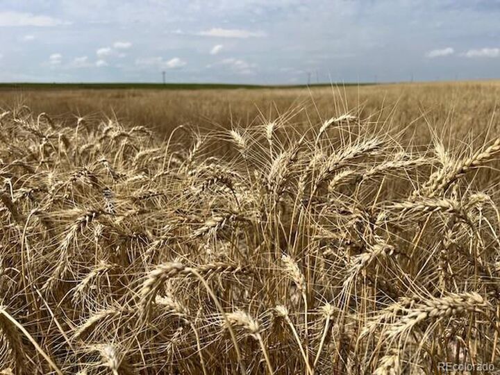 Property Photo: Tbd 96th Ave CO 80103