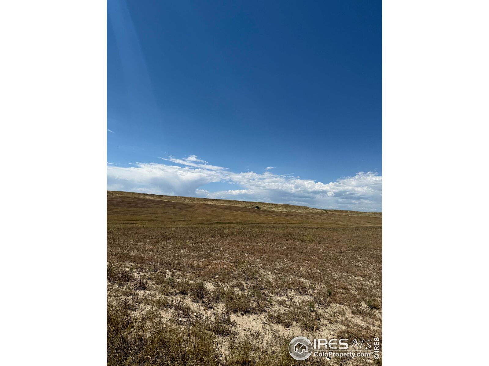 Property Photo:  1 County Road 15  CO 80612 