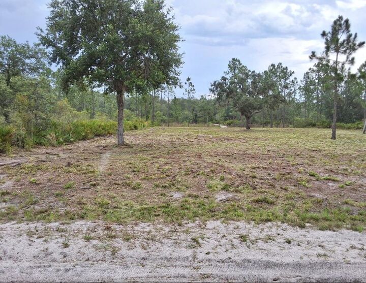 Property Photo: 1108 Palm Avenue FL 33855