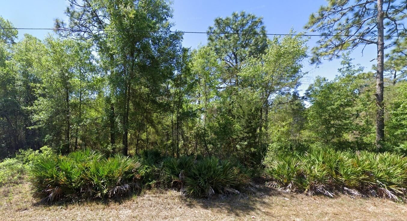 Property Photo:  7350 W Village Drive  FL 34446 