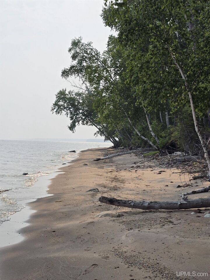 Property Photo:  11728 Von Zellan Drive  MI 49962 