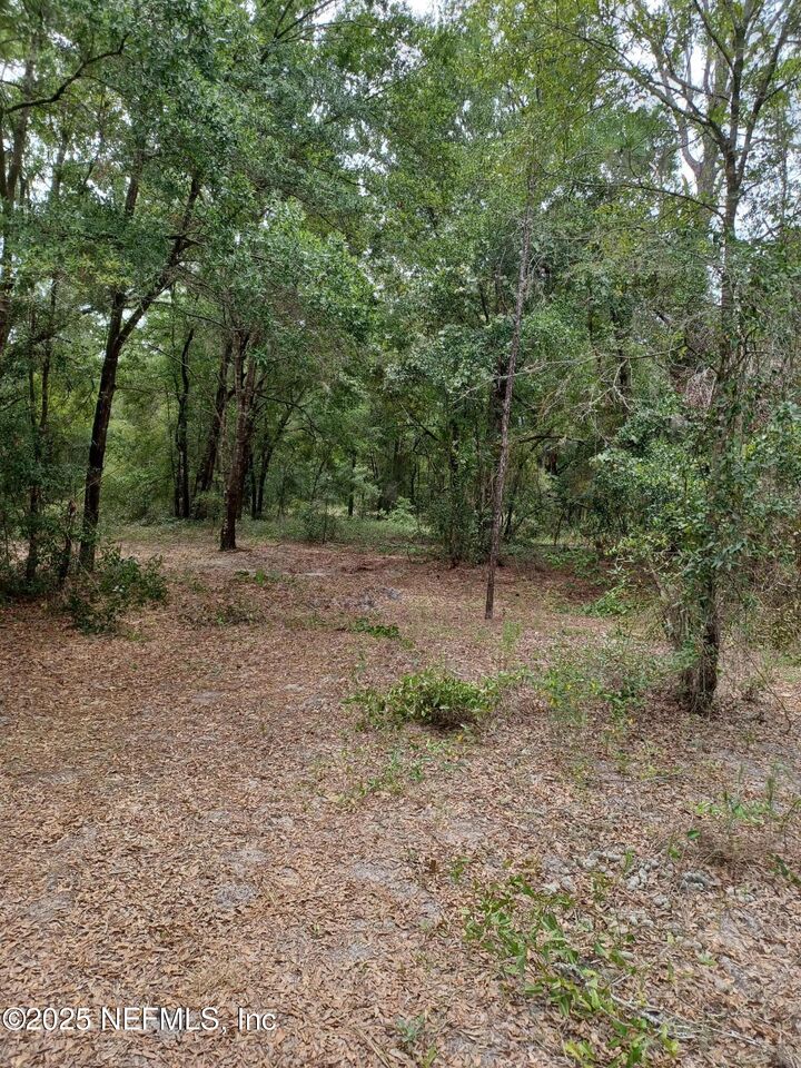Property Photo: 0 Orange Tree Street FL 32181