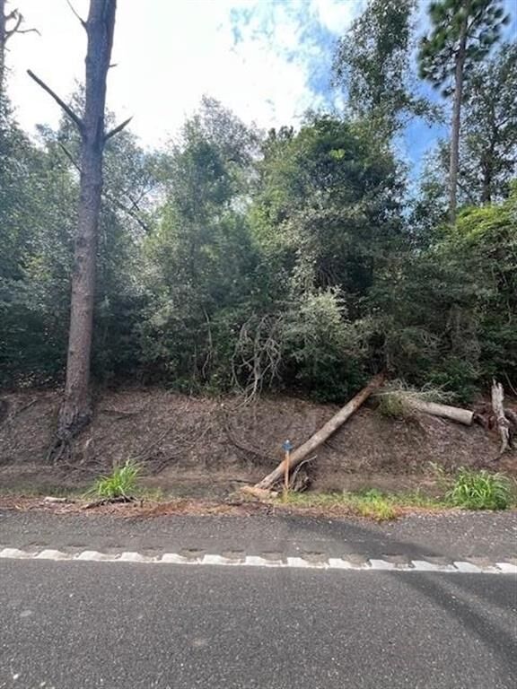 Property Photo:  0 Mark Lebleu Road  LA  