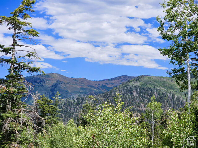 Property Photo: 33 Pine Ridge Estates Dr 33 UT 84647