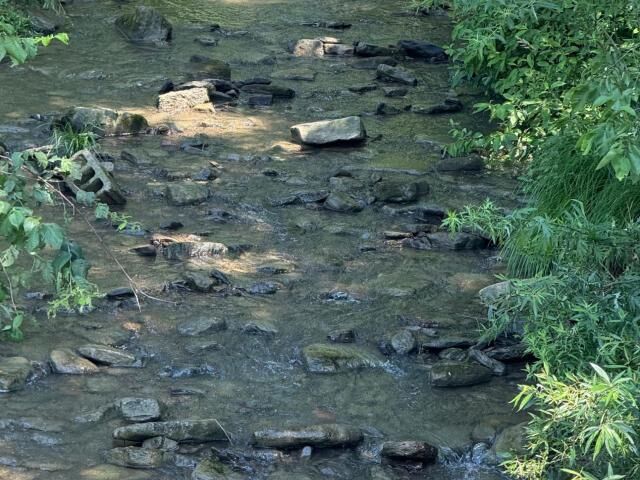 Property Photo:  4 Scott Run Road  PA 16365 