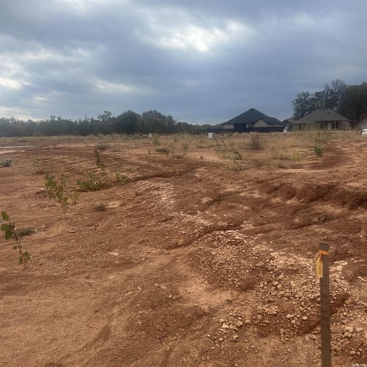 Property Photo: 605 Corondelet Ln AR 72113