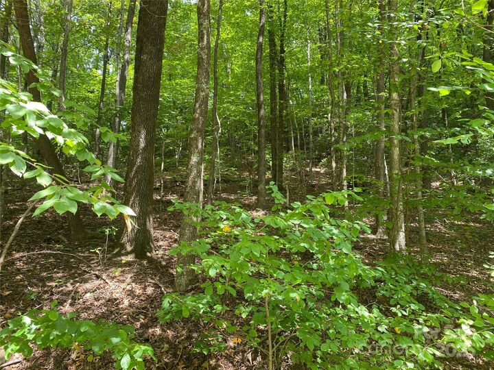 Property Photo: 000 Steven Street NC 28746